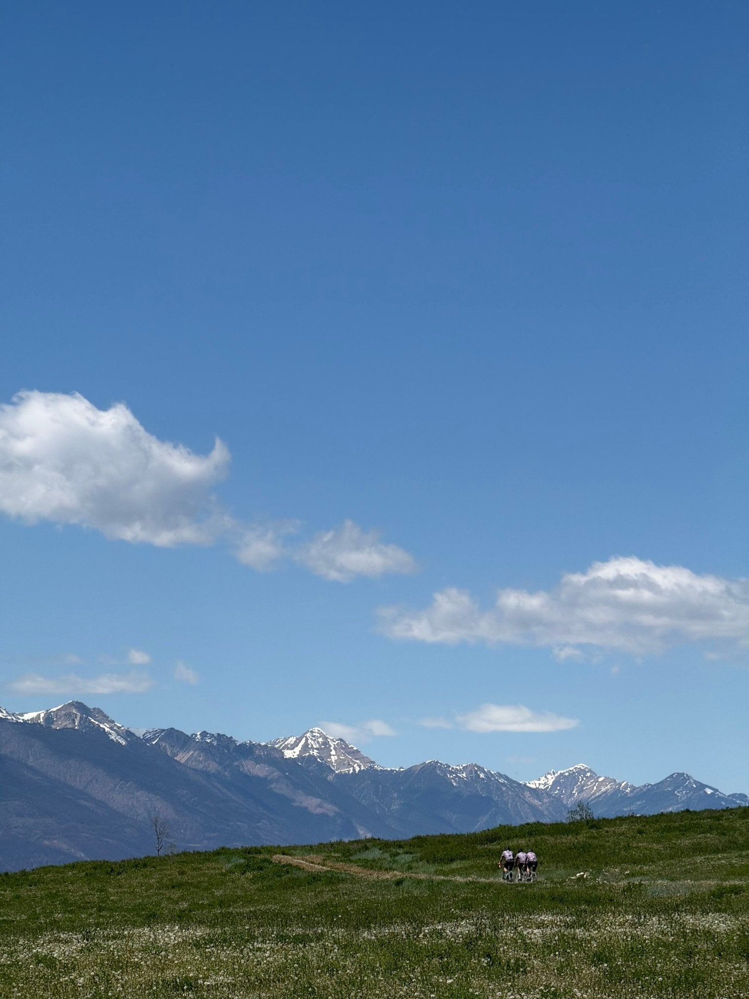 THE BLUE MOOSE - GOLDEN JUNE 6, 2026 - Wheelhouse Cycling Tours